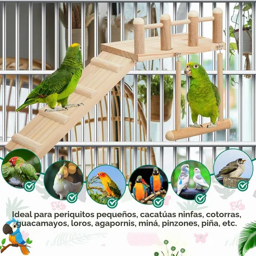 Vista 4 de Juego de 10 juguetes para loros con plataforma oscilante