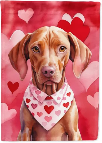 Vista 63 de Caroline's Treasures DAC5252GF Affenpinscher - Bandera de jardín con texto en inglés "My Valentine", bandera decorativa para patio exterior, patio