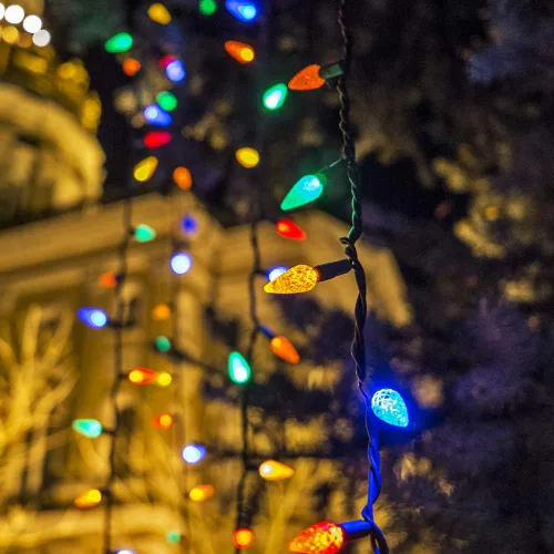 Vista 3 de RECESKY C3 Luces de Cadena de Navidad con Temporizador Incorporado - 50 LED 18 pies Luces de Cadena de Batería con Bombillas Facetadas - Iluminación