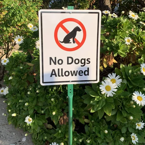 Vista 2 de SmartSign Letrero LawnBoss® con texto en inglés "No Dogs Allowed", letrero de aluminio de 10 x 12 pulgadas con estaca de 3 pies
