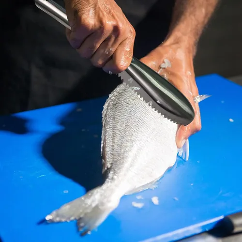 Vista 7 de Desincrustador de pescado, desincrustador de peces de acero inoxidable 304, herramienta descalcificadora de peces de dientes de sierra para cocina
