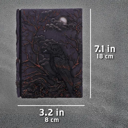 Vista 5 de Nemesis Now Raven's Grimoire Journal