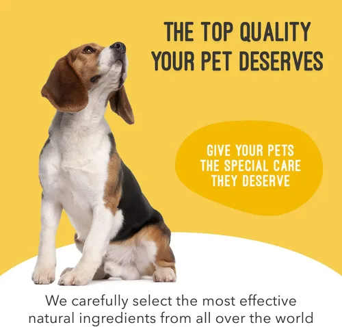 Vista 3 de Uromaxx Tratamiento de infección del tracto urinario para perros, soporte para la vejiga y los riñones, masticables suaves, para todas las edades