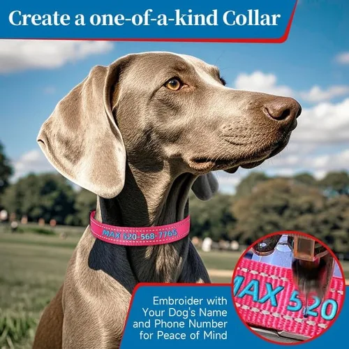 Vista 2 de Collares de perro personalizados, collar de perro bordado reflectante personalizado con nombre y números de teléfono, nailon suave ajustable