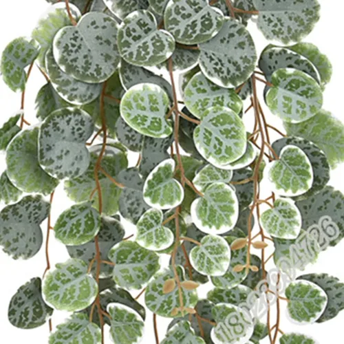 Vista 3 de Planta de ratán simulada, cadena colgante artificial de plantas de corazón de bajo mantenimiento, imitación de eucalipto simulado, macetas colgantes