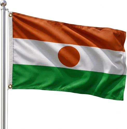 Vista 166 de DMSE - Bandera nacional beninesa beninesa de la República de África Occidental, 2 x 3 pies, 100 % poliéster, 100 % poliéster, resistente a los rayos