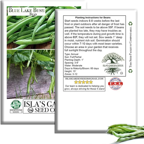 Vista 7 de Blue Lake Bush Green Bean Seeds, más de 50 semillas tradicionales por paquete, semillas sin OMG, (semillas de jardín de Isla), nombre botánico
