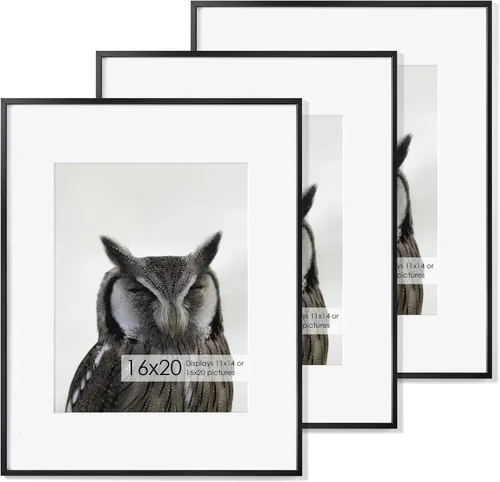 Vista 120 de Fun Memories Marco de Fotos A2 Negro, Marcos de Póster de Metal de Alta Gama de 16.5 x 23.5 pulgadas para Pared, Marco de Fotos A2 con Paspartú A3