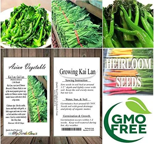 Vista 7 de Paquete grande - Semillas sin transgénicos de MySeeds.Co