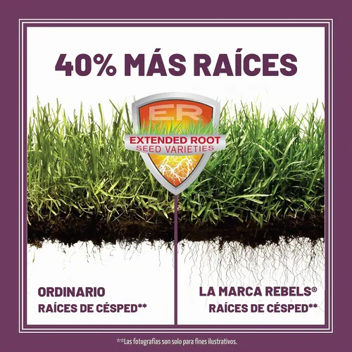 Vista 4 de Pennington The Rebels mix de semillas de césped Tall Fescue para zonas sombrías, 3 libras