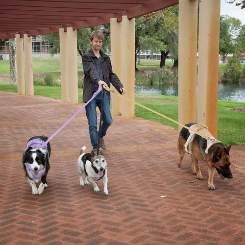 Vista 6 de Wisedog Arnés Ligero Sin Tirones para Perro: Arnés de Chaleco de Malla Transpirable Ajustable para Mascotas con Cojín Suave y Cómodo, para Perros