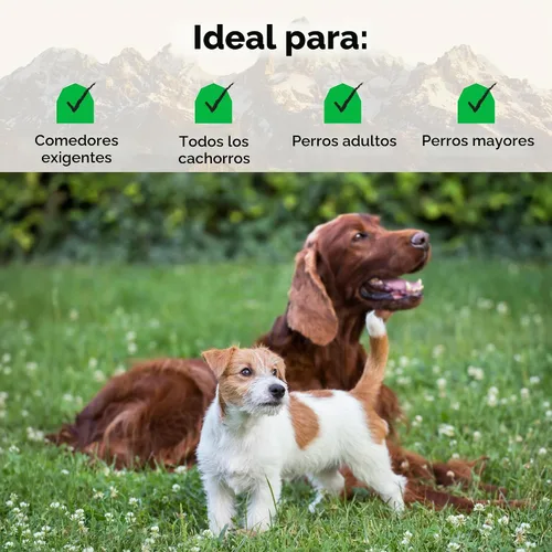 Vista 5 de Open Farm RawMix - Alimento seco para perros sin granos, croquetas de raza
