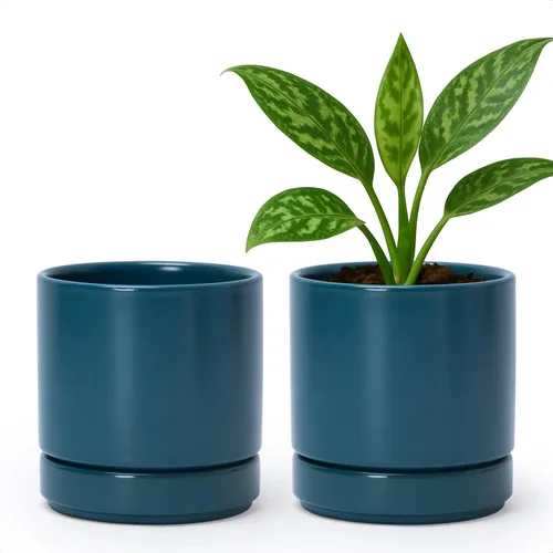 Vista 28 de D'vine Dev - Juego de 2 macetas de plantas de 3.5 pulgadas, maceta de cerámica para plantas con agujero de drenaje y platillo, negra, 94-V-A-2
