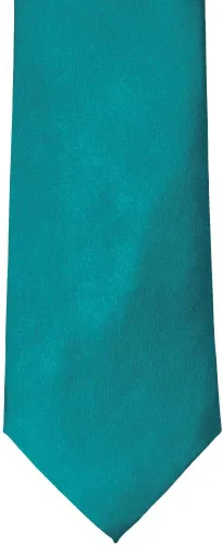Vista 443 de tiemart Corbata de color sólido para hombre Longitud estándar