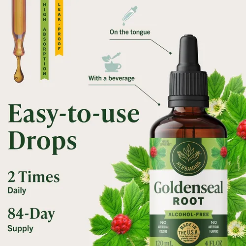 Vista 6 de HERBAMAMA Tintura Goldenseal - Apoyo inmunológico y digestión