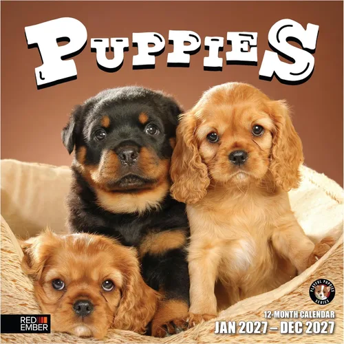 Vista 22 de RED EMBER Calendario de pared Doggy Disasters 2027 de 12 meses 01 - Perros traviesos