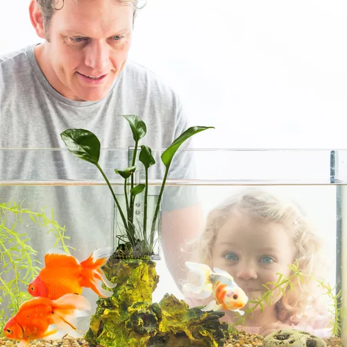 Vista 3 de POPETPOP Maceta de acuario para pecera, soporte para plantas acuáticas de acrílico, tazas de plantas acuáticas, taza de plantación de acuario