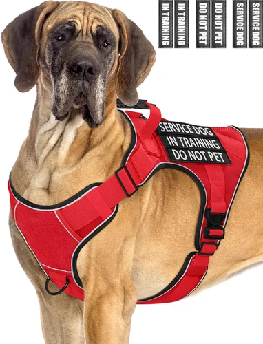 Vista 28 de Chaleco de perro de servicio para perros medianos, arnés de perro de servicio en entrenamiento con parches, chaleco ajustable para perros
