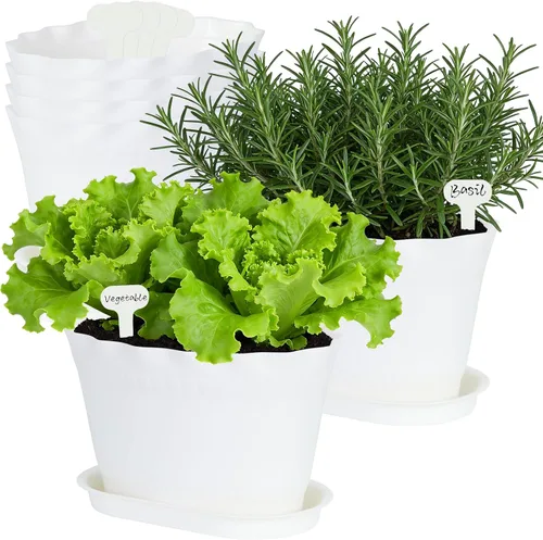 Vista 2 de Oliz Macetas de hierbas, 6 unidades, jardinera de ventana, macetas para plantas suculentas de cactus con bandejas, para decoración del hogar Blanco