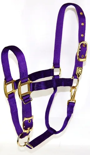 Vista 20 de Hamilton, Halter de 1 pulgada con barbilla ajustable, azul baya, 800-1100 libras