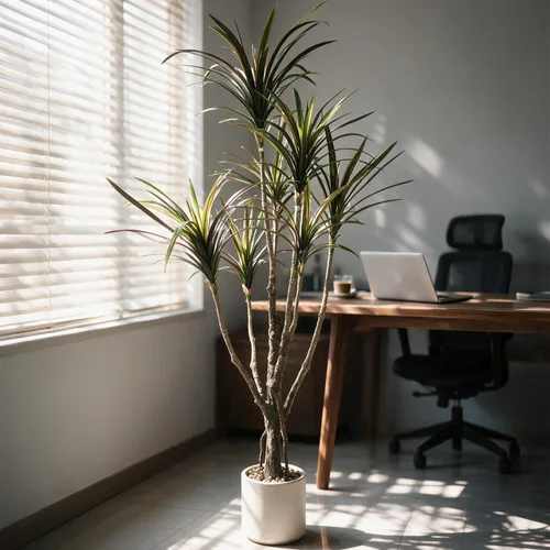Vista 6 de Dracaena marginata - Planta artificial de 5.2 pies, árbol de dragón