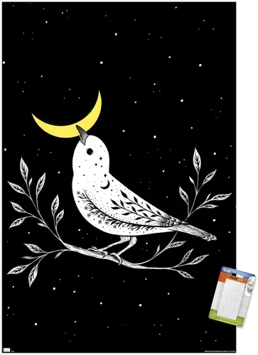 Vista 12 de Trends International Dibujo episódico - Póster de pared de pájaro lunar Versión enmarcada Barnwood