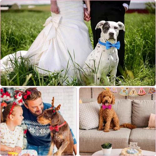 Vista 5 de Collar de perro Jumpress para niño azul con lazo, collar de pajarita con brillo para cachorros, perros pequeños y medianos, collar de perro lindo