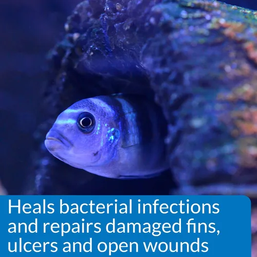 Vista 4 de API MELAFIX - Remedio para infecciones bacterianas de peces de agua dulce, botella de 4 onzas