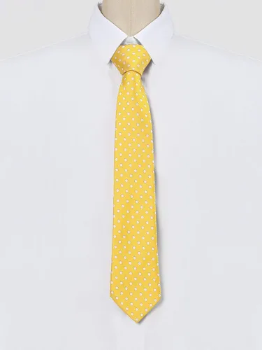 Vista 2 de Allegra K Corbata formal para hombre con lunares y lazos de boda