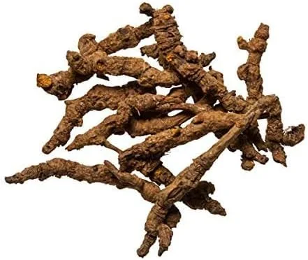 Vista 2 de Plum Dragon Coptis Root Huang Lian Rizoma a granel Hierbas de raíz china (1 onza)