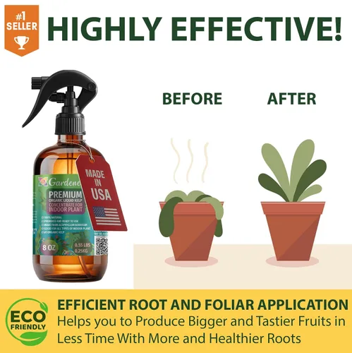 Vista 3 de GARDENERA Spray orgánico profesional de algas marinas para plantas AGLAONEMA – 8 oz – Rocío fertilizante de algas marinas y algas marinas totalmente