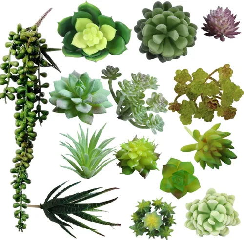 Vista 9 de Zhiheng Plantas suculentas artificiales surtidas (mutil)