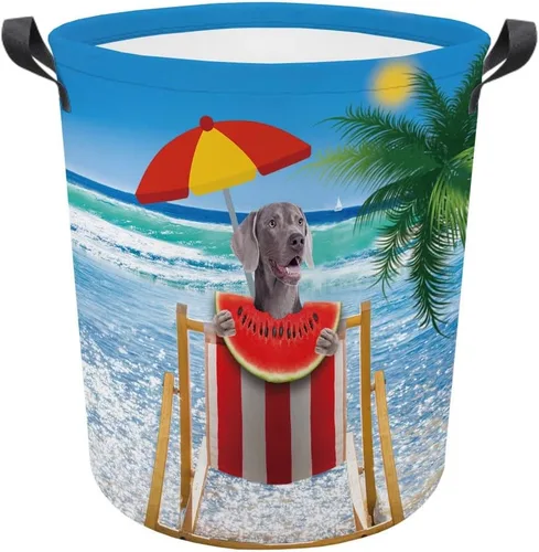 Vista 11 de Cesta plegable con estampado de perro, lindo Cavalier King Charles Spaniel Sandía con asa, caja de juguetes, bolsa de almacenamiento