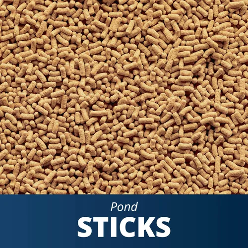 Vista 3 de Palos de estanque TetraPond, alimento para peces de estanque, para peces dorados y Koi, 1.72 libras Healthy Daily Diet For All Pond Fish, Easy To