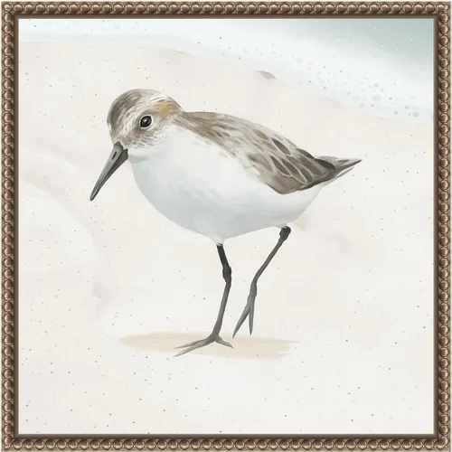 Vista 7 de Amanti Art Framed Canvas Wall Art 16x16 Sandpiper on the Beach II by Lucca Sheppard, Framed Wall Art Canvas, Animals Artwork, Modern Decor, Small