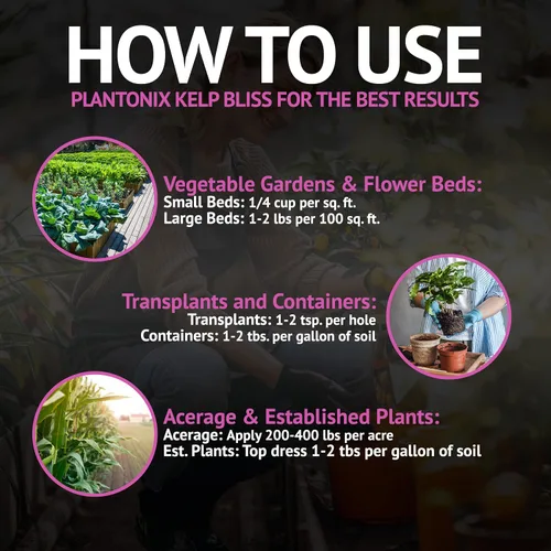 Vista 8 de Kelp Bliss (10 libras) + Char Bliss (8 cuartos de galón) – Fertilizante orgánico de harina de algas y biocarbón orgánico para plantas – Carbón