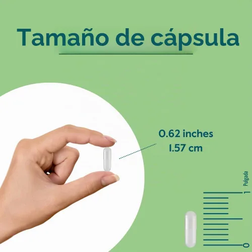 Vista 4 de BESTVITE Vitamina D3 vegana 2500 UI (120 cápsulas vegetales) - Sin