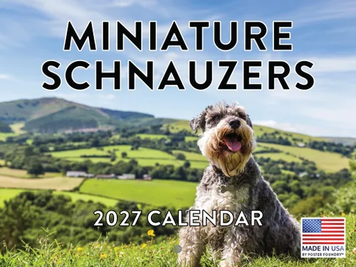 Vista 55 de Calendario mensual de pared Airedale Terrier Dog 2027