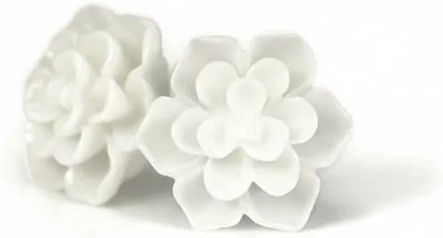 Vista 6 de Aretes hipoalergénicos de suculentas Pretty Smart para orejas sensibles