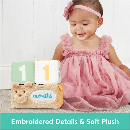 Vista 6 de Baby GUND Milestones and Moments Bloques suaves, accesorios de fotos de felpa para bebés y recién nacidos, multicolor