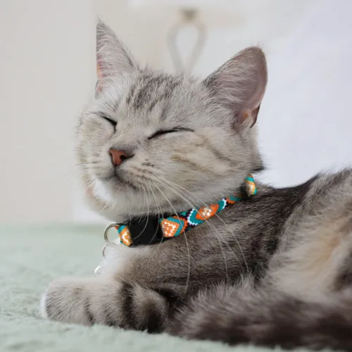 Vista 2 de CollarDirect Juego de 2 collares para gatos con campana extraíble, diseño tribal azteca de seguridad ajustable para mascotas