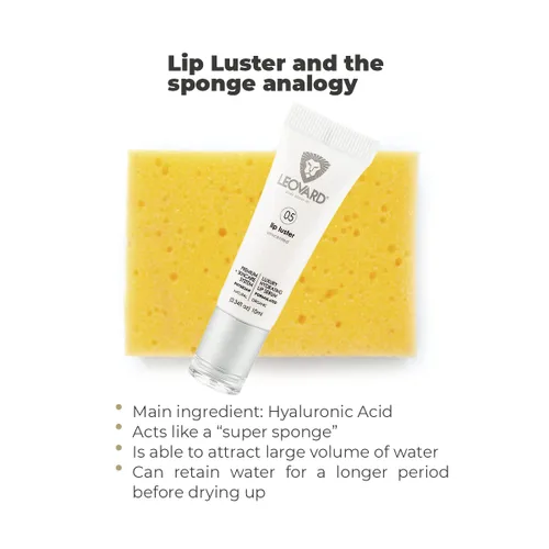 Vista 3 de Leovard Lip Luster - Bálsamo labial de ácido hialurónico hidratante - Tratamiento hidratante de labios natural orgánico, suero labial hidratante