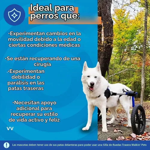 Vista 4 de Silla de ruedas de perro para perros pequeños, 26 a 69 libras, de Walkin' Wheels, 5, Azul