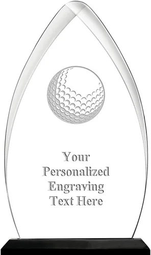 Vista 16 de Crown Awards Premio acrílico personalizado de 9.25 pulgadas de Gateway Skyline