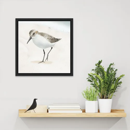 Vista 6 de Amanti Art Framed Canvas Wall Art 16x16 Sandpiper on the Beach II by Lucca Sheppard, Framed Wall Art Canvas, Animals Artwork, Modern Decor, Small