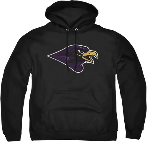 Vista 46 de Distressed College Primary Logo Adult Pullover Hoodie Collection 1 Universidad Estatal de Albany