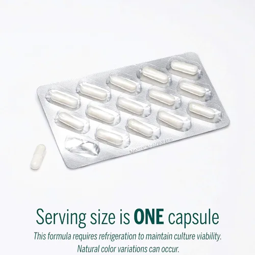Vista 3 de Genestra Brands HMF Intensive Cuatro cepas de probióticos para apoyar la salud intestinal, la comodidad abdominal y la microflora saludable* 30