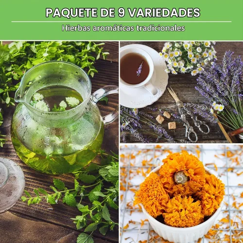 Vista 3 de Semillas de hierbas para té medicinal para sembrar Paquete de 9 variedades de hierbas autóctonas, sin OMG – Cultive tés herbales, remedios