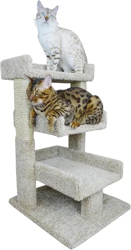 Vista 2 de Reaowazo - Percha para árbol de gato grande, color marrón