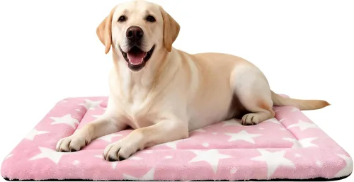 Vista 48 de Tapete para cama de perro, suave y cómodo, para jaula, cama y alfombrilla duradera para perros y gatos, ideal para jaulas, perreras y uso doméstico
